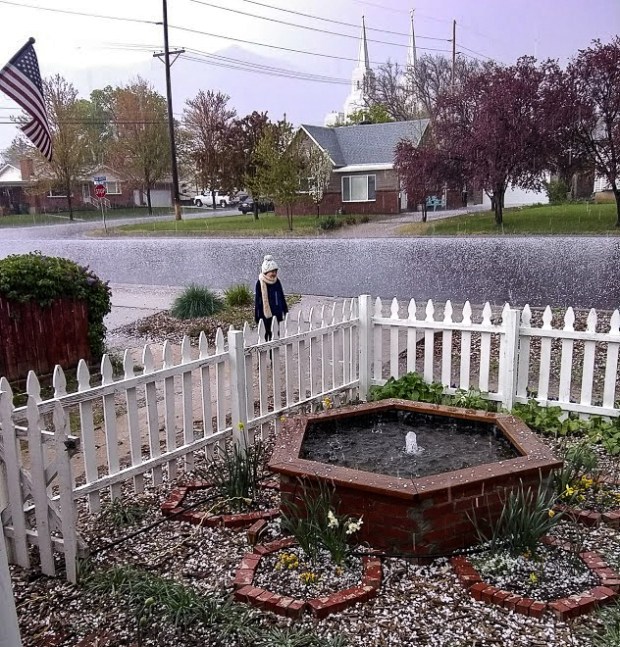 IMG_20190426_160425060-2