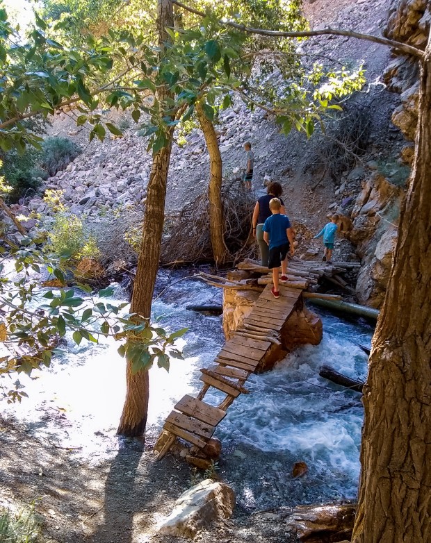 IMG_20190622_182855327_BURST000_COVER_TOP-2