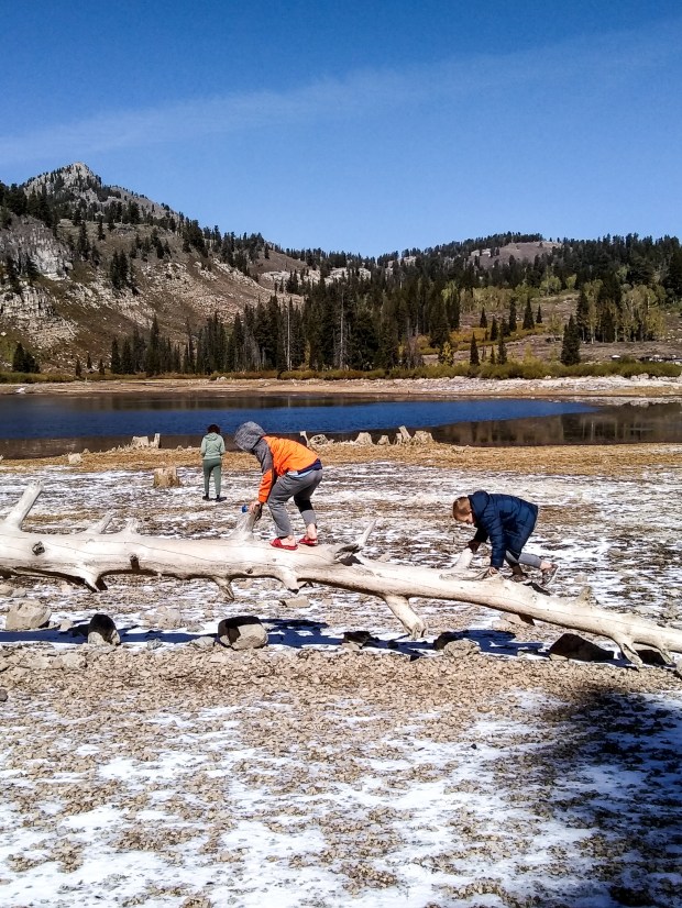 IMG_20191005_124917109-2