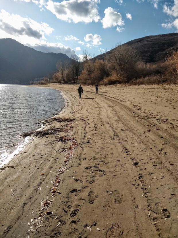 IMG_20191116_143623379