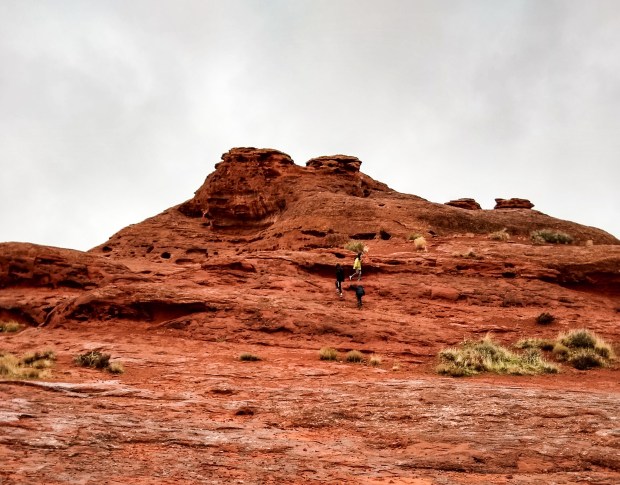 IMG_20191227_093313228_HDR