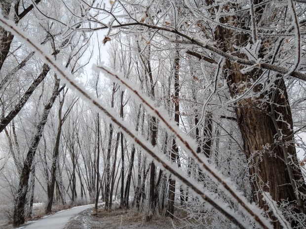 IMG_20200211_082037638