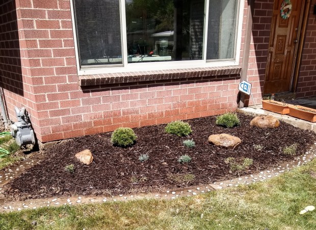 img_20200502_145059902_hdr