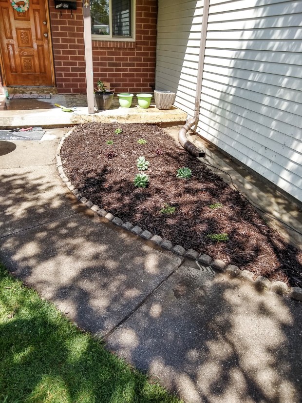 img_20200502_145216048_hdr