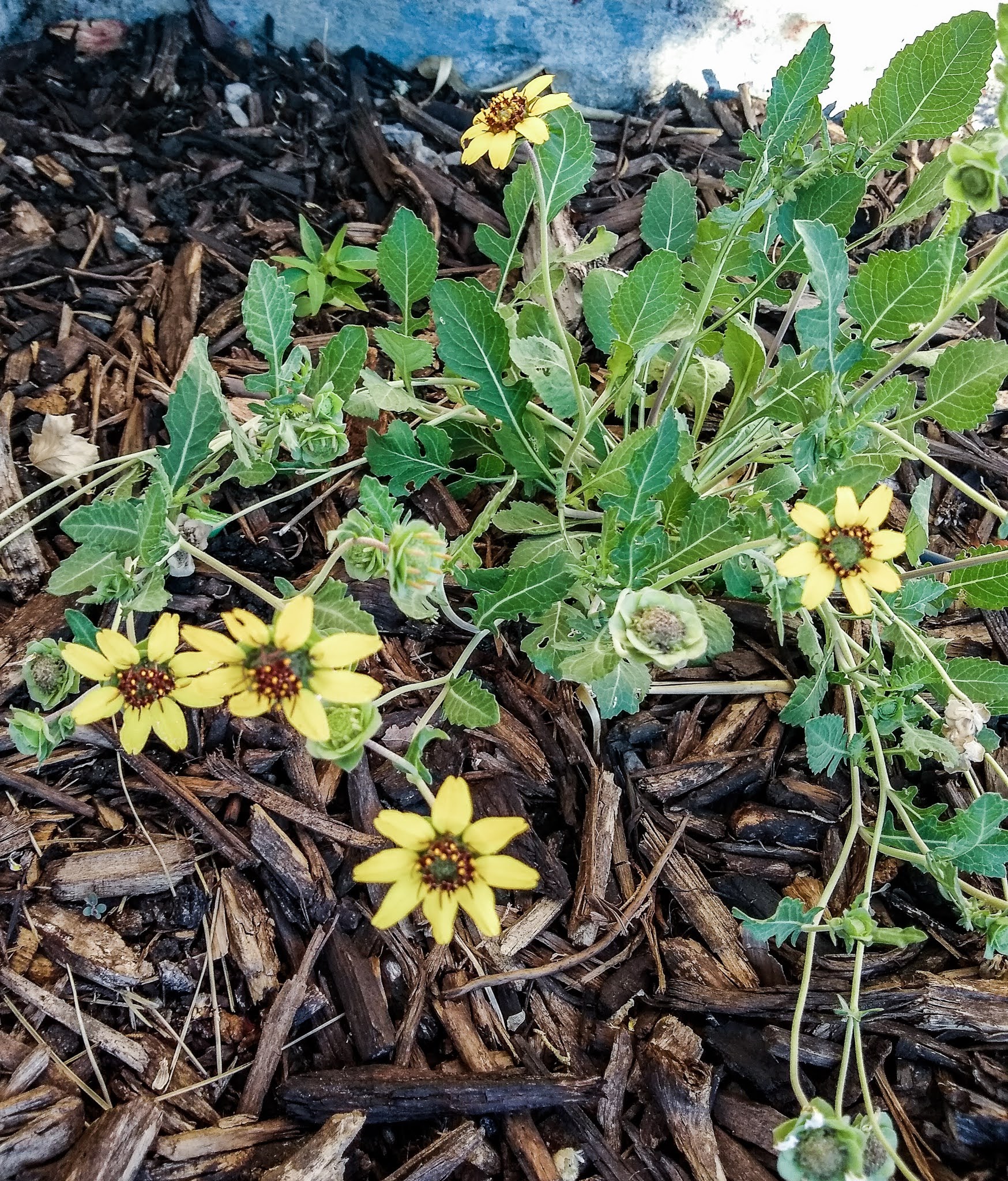 img_20200622_070912951