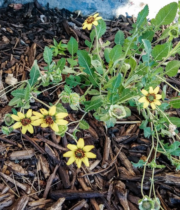 img_20200622_070912951