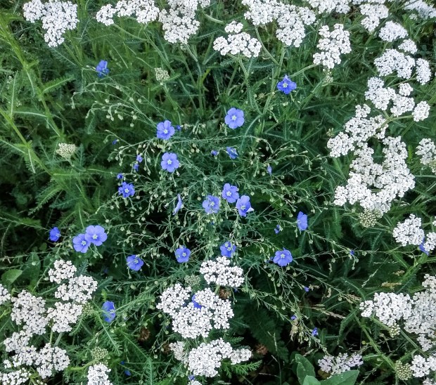 img_20200623_082849735