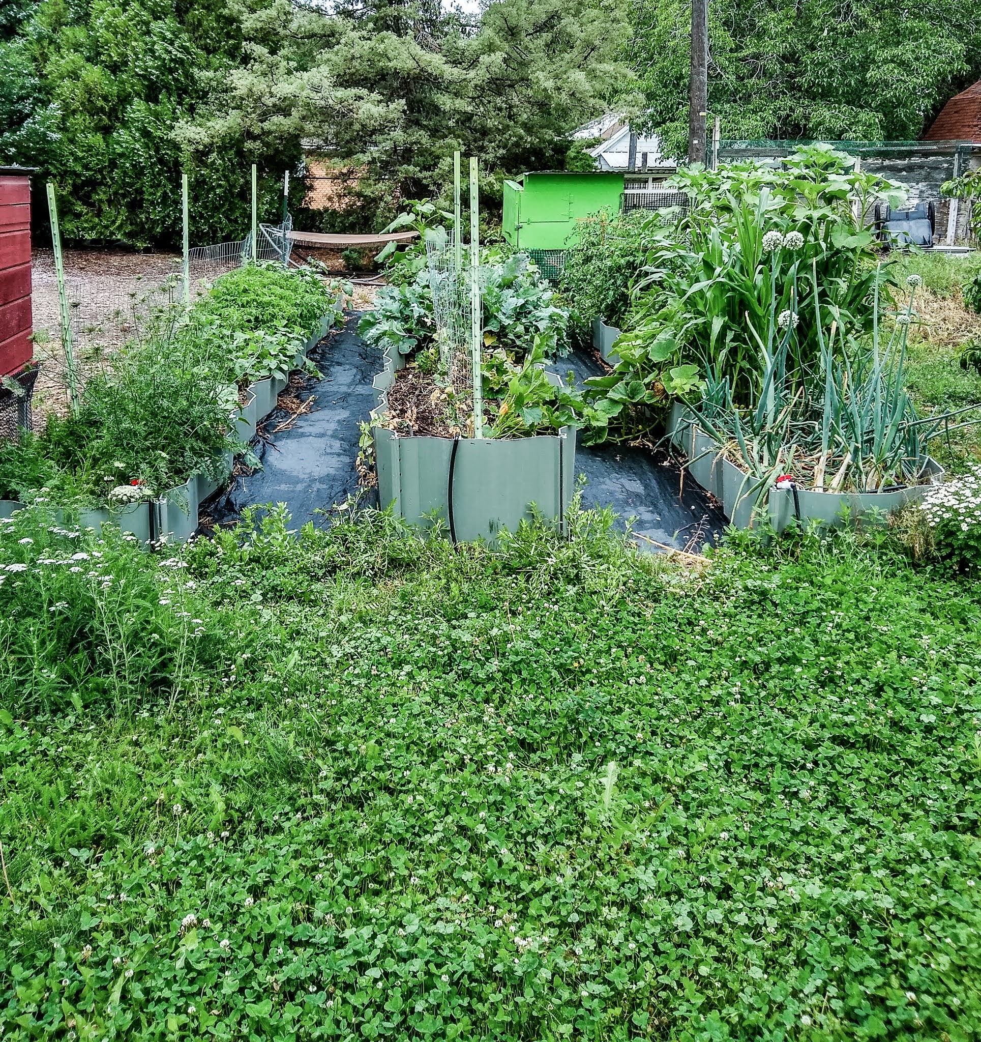 img_20200630_085828261_hdr