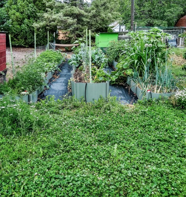 img_20200630_085828261_hdr