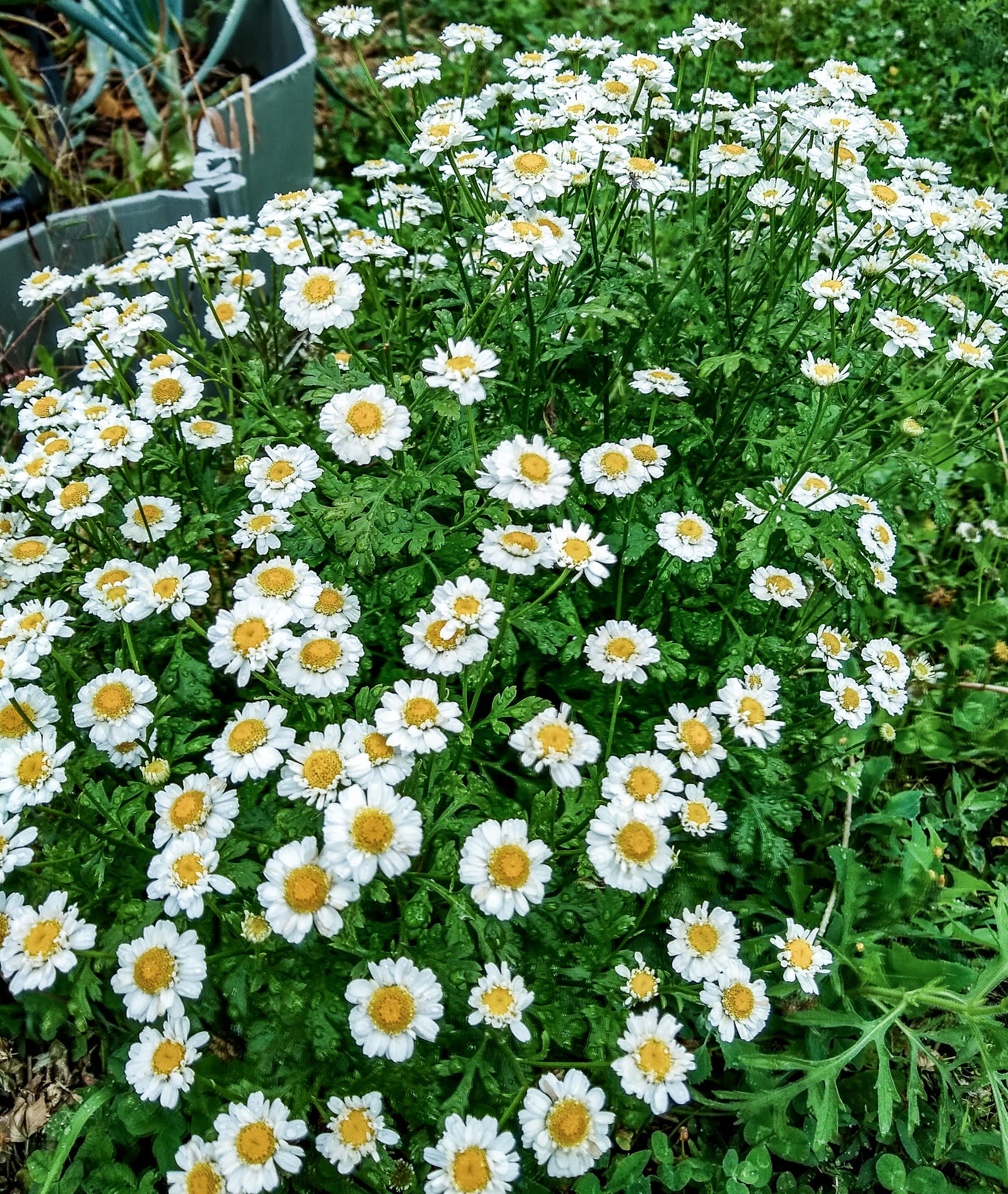 img_20200630_085845892_hdr