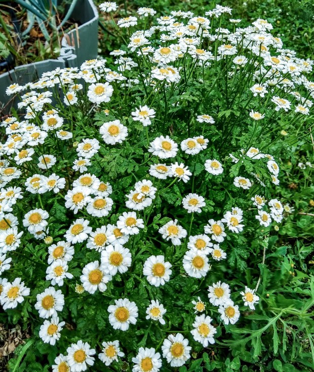 img_20200630_085845892_hdr