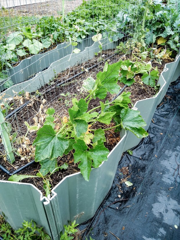 img_20200630_085928123