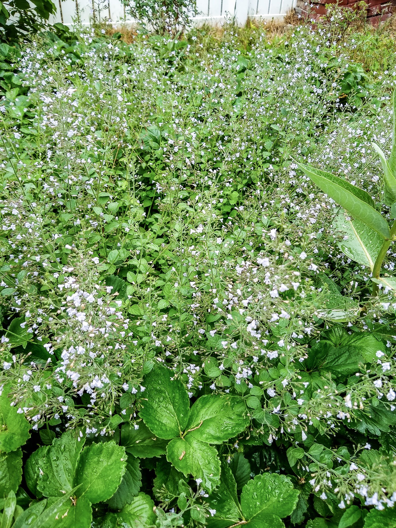 img_20200630_085946513_hdr