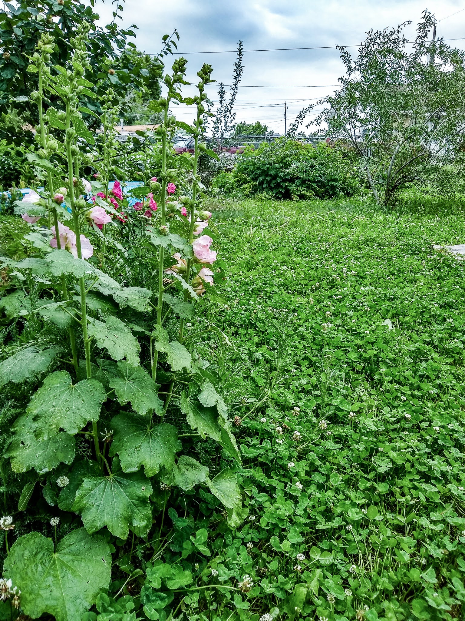 img_20200630_090019897_hdr