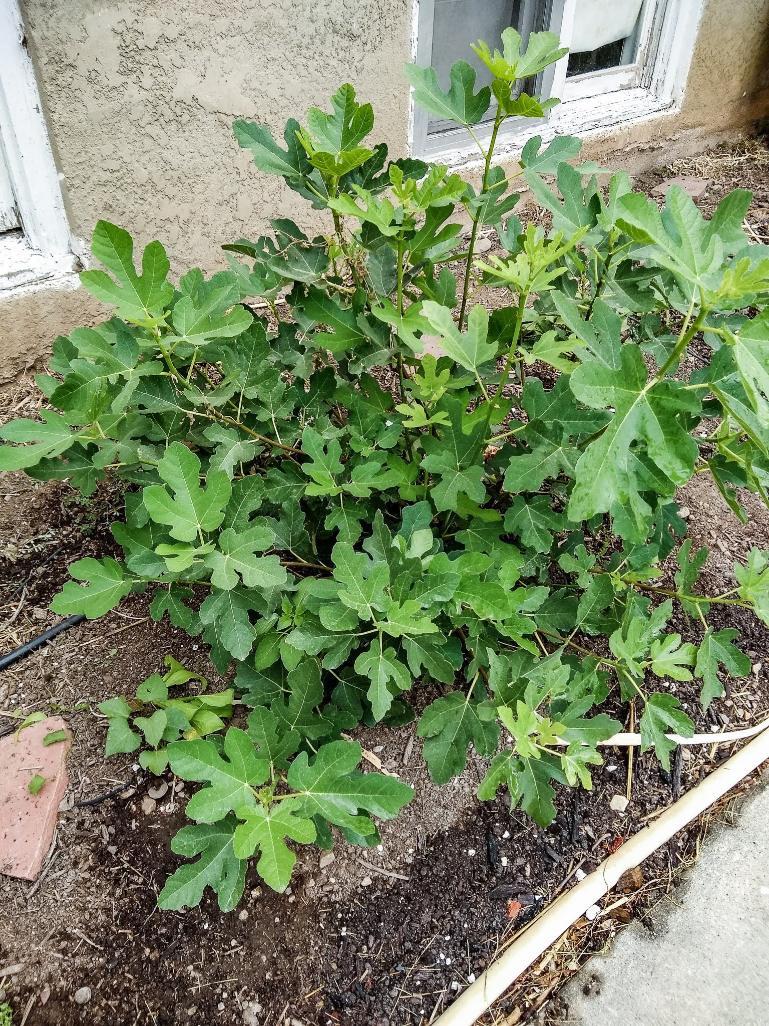 img_20200630_090136379