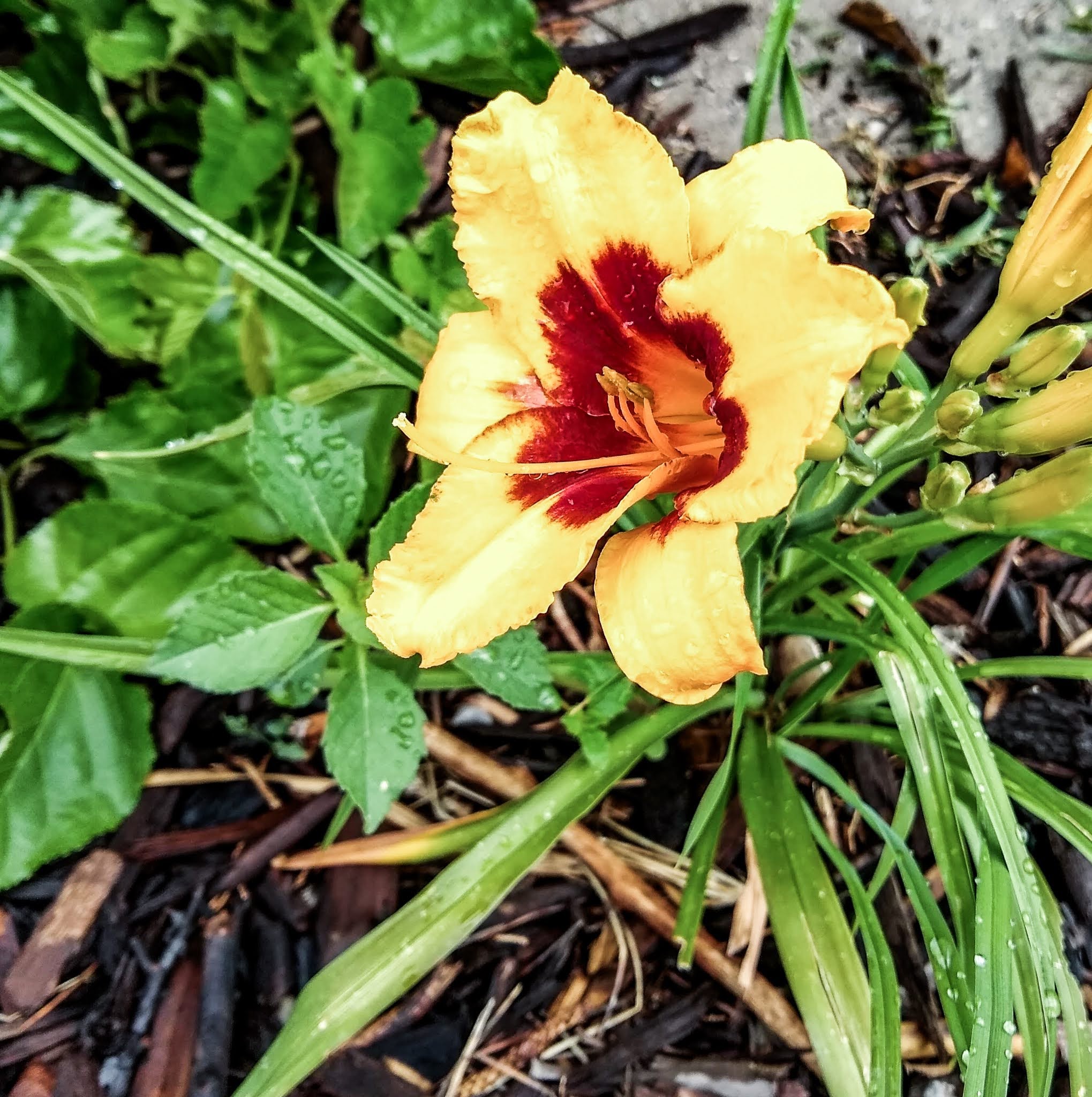 img_20200630_090154251_hdr