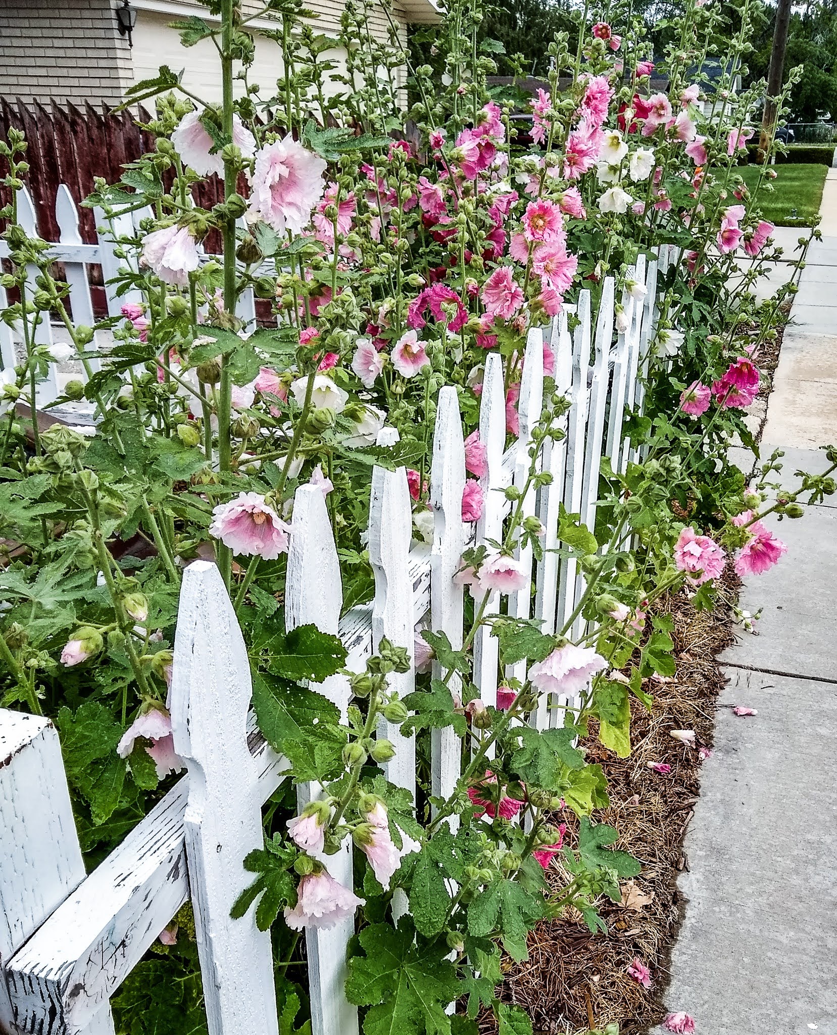 img_20200630_090220102_hdr