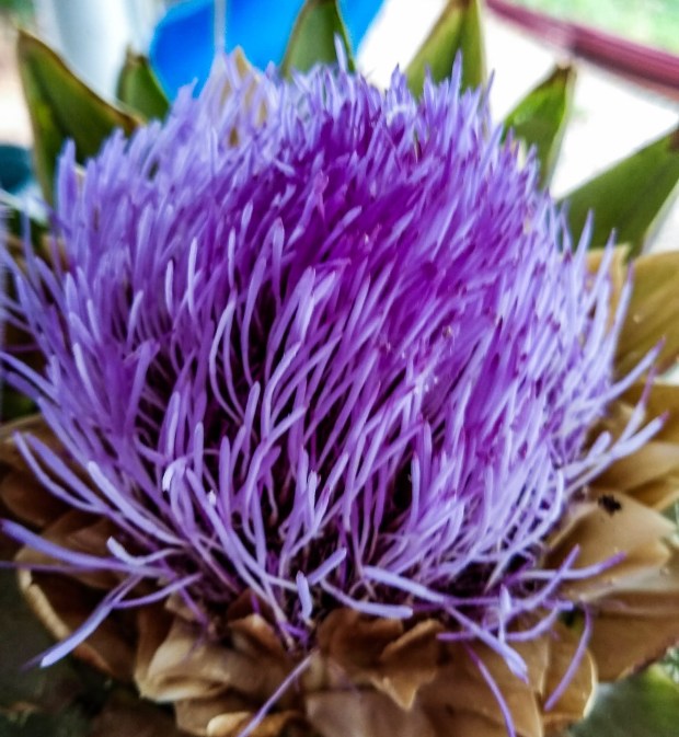 img_20200630_090304469