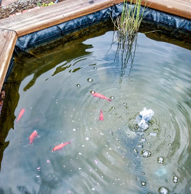 img_20200630_090447175