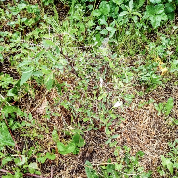 img_20200630_090545202_hdr