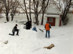 Snow Forts