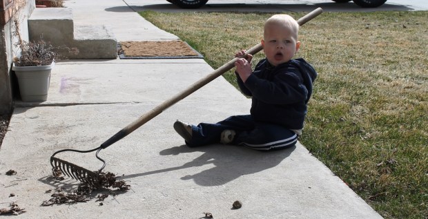 raking