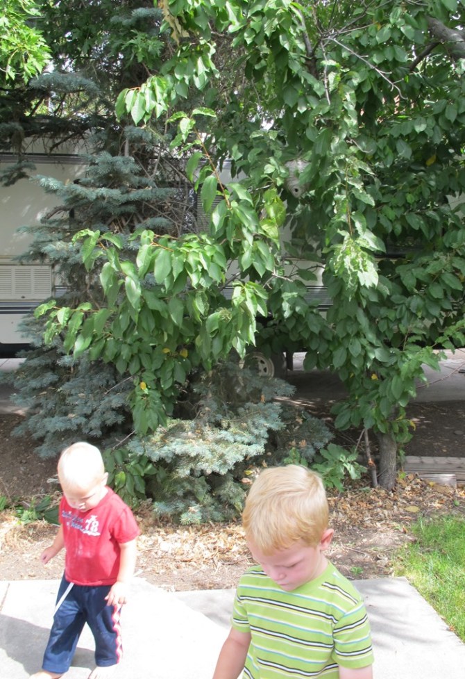 ???????????????????????????????