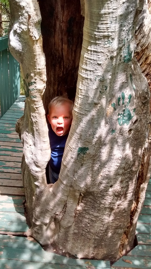 IMG_20160730_123015126_HDR