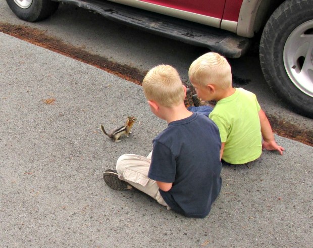 This squirrel actually climbed up on PB's lap.