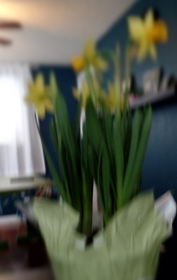 SAMSUNG CAMERA PICTURES