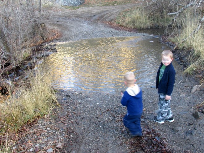 pond
